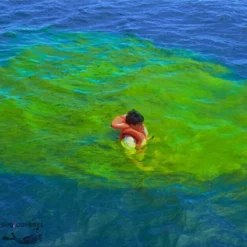 Sachet De Fluorescine 40g Dans Une Pochette étanche 5 Sachet De Fluorescine 40g Dans Une Pochette étanche -Vitesse et Profondeur sachet fluorescine 40 g colorant fluorescent eau aquatys pas cher palanquee sub odyssee lyon 2